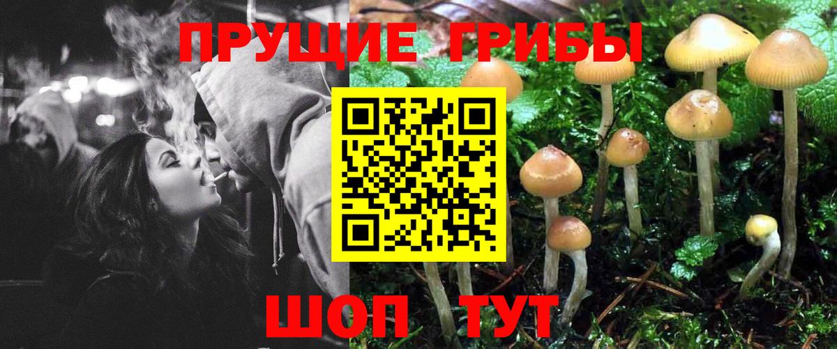 Псилоцибиновые грибы Magic Shrooms  Вход с VPN  Дербент  Галлюциногенные грибы мицелий 