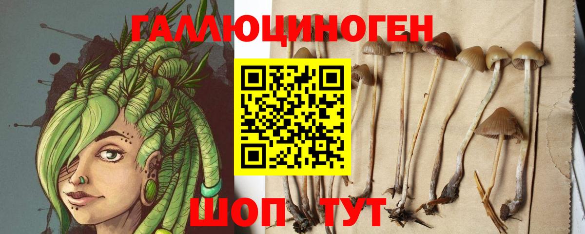 Псилоцибиновые грибы MAGIC MUSHROOMS Дербент